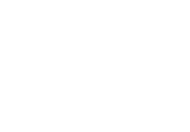 BLACKHORSE SOFTWARE SOLUTIONS