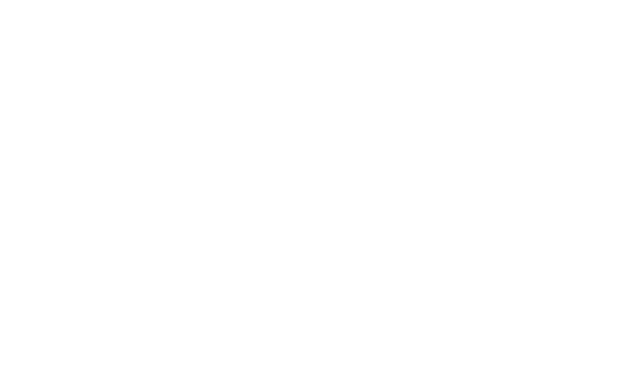 BLACKHORSE