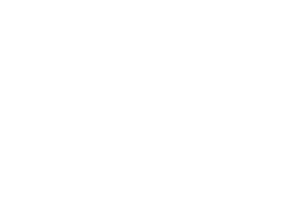 BLACKHORSE